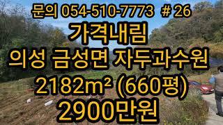 대구 가까운 의성군 금성면 자두과수원 2182m²(660평)2900만원  경북땅 경북토지 경북땅매매 급매물