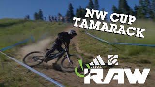 VITAL RAW - NW Cup Tamarack