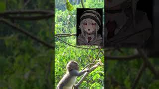 Saru goes back to monkey !