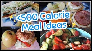 500 Calorie Meal Ideas (Alternate Day Intermittent Fasting)