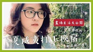 《玩過頭》怎麼找到夏威夷打工換宿？｜野外求生特輯【萱頭】