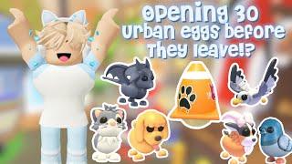 Opening 30 urban eggs before they leave forever in Roblox adopt me! #adoptme #roblox