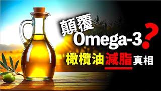 Omega-3 被取代了？橄欖油和菜籽油富含的減肥減脂「秘密武器」！