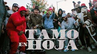 El Alfa "El Jefe" x Dowba Montana x MarkB - Tamo En Hoja (Video Oficial)