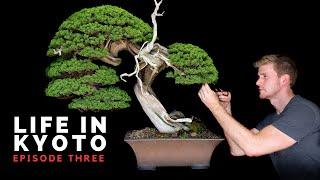 Kyoto Bonsai Garden Design and the Festival of Souls | Life in Kyoto | Ep. 3