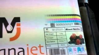 Digital Inkjet CMYK Print Engine Megnajet for Narrow web label press