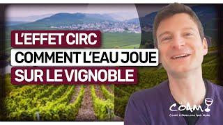  L’effet CIRC : Comment l’EAU joue sur le vignoble (et sur le profil du VIN) (Leçon n°130)