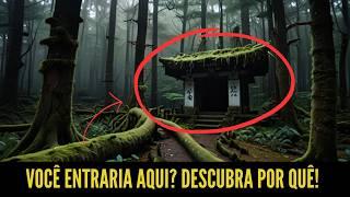 Aokigahara: O Que Ninguém Te Contou Sobre a Floresta do Suicídio!