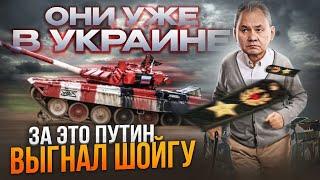 Танкового биатлона больше не будет: стало известно за что Путин выгнал Шойгу