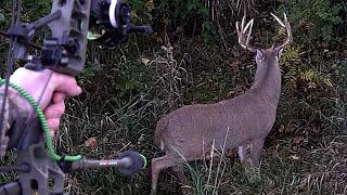 Big Buck Sneaks Up On Bowhunter @ 15 Yards!