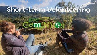 Short-term volunteering program - Micki and Hyla