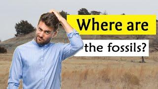 How to find your own fossil sites