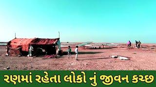 રણમાં રહેતા લોકો નું જીવન | કચ્છ નું નાનું રણ | રણમાં મિઠાની ખેતી | Kutch nu ran | history of Kutch