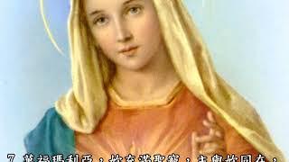 天主教/玫瑰經--痛苦五端 (有字幕)Rosary in Chinese