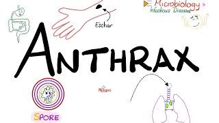 Anthrax - Causes, Symptoms, Diagnosis, Treatment - Bacillus anthracis - Microbiology 