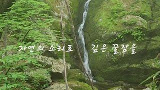 [ASMR수면유도] 자연의 소리 #비온 뒤 계곡 숲의 몽환적 폭포소리로 깊은 수면을!
