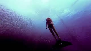 Waterholic Freediving in Cebu Moalboal; 세부 모알보알에서의 프리다이빙ㅣ프리다이버ㅣ최경미ㅣ프리다이빙강사ㅣ모노핀ㅣ정어리떼