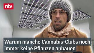 Warum Cannabis-Clubs noch immer keine Pflanzen anbauen - Legalisierung zum Trotz  | ntv