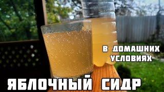 Яблочный сидр в домашних условиях. Благородный напиток