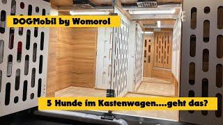 5 Hunde im Wohnmobil, geht das? / Dogmobil by Womorol / Affinity kann was!