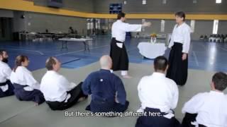 Highlights from Lesson 1 of Stanley Pranin's "Zone Theory of Aikido" Course