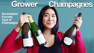 New Years Champagne - Let's learn about Grower Champagnes