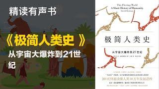 一部视野宏大、脉络清晰的人类简史 - 精读《极简人类史》- 从宇宙大爆炸到21世纪