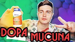 ДОПА МУКУНА (DOPA MUCUNA) МОЙ ОПЫТ | НАСТРОЕНИЕ, КОНЦЕНТРАЦИЯ, МОТИВАЦИЯ | МУКУНА ЖГУЧАЯ 