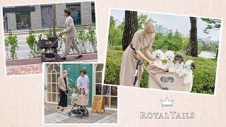 【ペット用品紹介】多頭飼いにもオススメペットカート！【ROYAL TAILS Grace & Grace Plus】