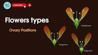 Hypogynous, Perigynous, Epigynous, | Position of ovary in flowers, | Types of Flowers based on ovary