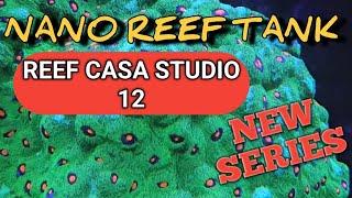 Reef Casa Studio 12 | New Series