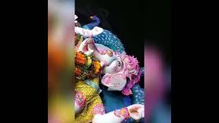 Raju Gupta jhungiya bazar gkp ganpati bappa ka visarjan 2023