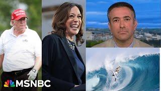 Shook: Trump unmoored as new 'purple wave’ rocks campaign amid Harris’ 'blue crush’