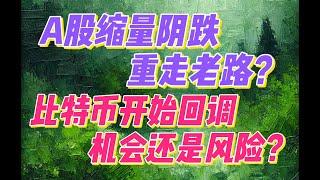 11月26日 - A股缩量阴跌，重走老路？比特币开始回调，机会还是风险？