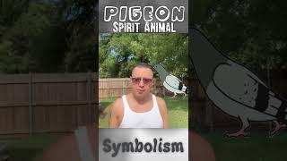 #Pigeon #spiritanimal #spiritualmeaning #symbolism | A #FridayPodcast #Clip w/ #ChrisChaos