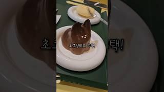 초코맛 푸냥이는 귀여워! 고양이 푸딩 리뷰 [홍대미크플로] #푸딩 #디저트 #홍대카페