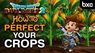 How to make the PERFECT Crop Fields | Most efficient! | Dragon Quest Builders 2