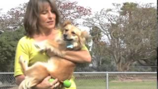 2014 Humane Hero Award Winner - Animal Compassion Awards