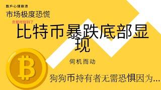 比特币暴跌底部显现。散户心理崩溃 ，市场极度恐慌   ！ 抄底时刻即将来临狗狗币持有者无需恐惧 或许...