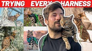 Best Cat Harnesses Under $20 To Buy in 2023 (Ultimate Test)