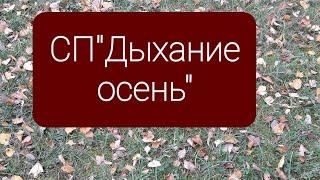 #СП_дыхание_осень/отчёт 2/учестница 17/ ВАРЕЖКИ И НОСОЧКИ СПИЦАМИ