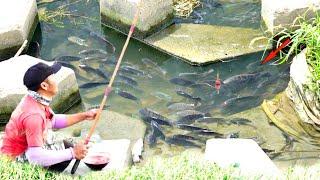 Warga Sibuk Cari UangSaya Bosen Strek Ikan|UMPAN JITU #TC_256