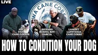 Conditioning Your Dog | NWA @richardgarciaschoolboy7746 special guest @lapotenzacanecorso99