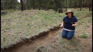 Arizona Project Archaeology - Elden Pueblo Archaeological Site