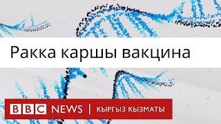 Ракка каршы жаңы вакцина сыноодон өтүүдө - BBC Kyrgyz