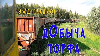 Как добывают торф. Добрались до узкоколейки в п. Гладкое!