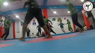 #martialarts  #shorts#ufc #taekwondo #karate #martialarts #fitness #fullbodyworkout #viralvideo