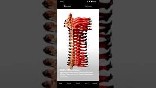  Industry-Specific Generative AI Use Cases for Retail & eCommerce 