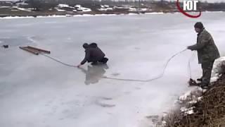 БЕРДЯНСК СПАСЕНИЕ СОБАКИ 2018