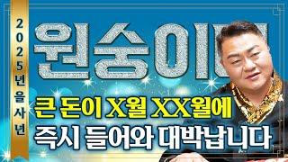 2025년 을사년 무조건 대박터지는 원숭이띠 운세모든 빚이 사라지고 큰돈이 들어와 인생역전 초대박나는 56년생 68년생 80년생 92년생 04년생 원숭이띠 운세!